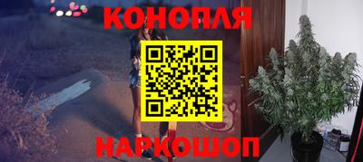 прущие грибы Комсомольск-на-Амуре