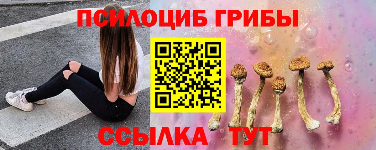 Псилоцибиновые грибы Cubensis Югорск